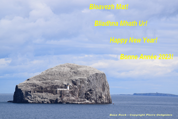 L’image est une photo prise par Pierre Delignière en Ecosse. Elle 
					représente Bass Rock, un grand îlot volcanique blanchi par les fientes de ses seuls habitants d’aujourd’hui, les 
					milliers de fous de Bassan qui y trouve refuge, au milieu de l’estuaire de la rivière Forth, à l’est d’Edimbourg. 
					A mi-hauteur de l’îlot, on distingue un ancien phare. En arrière-plan sur la droite on aperçoit l’île de May, 
					également refuge des oiseaux de mer. Au travers de l’image sur sa droite est inscrit de haut en bas, en quatre 
					langues, breton, gaélique d’Ecosse, anglais, français , bonne année, à l’occasion de la nouvelle année 2023.